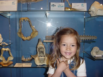 normas para la higiene y el cuidado de la boca 02